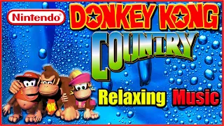 🎵🎧💧 Donkey Kong Country • Cool & Calming Music + Rainstorm 2