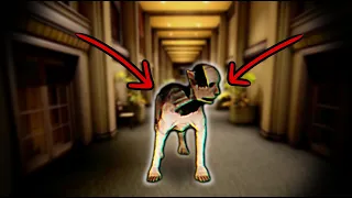 SCARY POOCHIES!! | Escape The Backrooms (with friends!) [PART 2]
