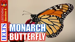 Real IELTS Listening Test | Section 4 | Monarch Butterflies