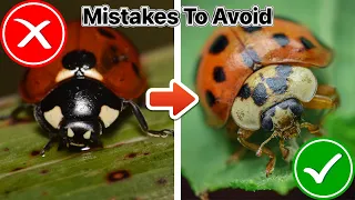 7 Macro Photography Mistakes to Avoid