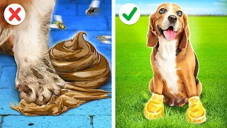 PETS RICOS VS. PETS SEM GRANA || DIYs Virais e Divertidos para Cães e Gatos, por 123 GO! TRENDS