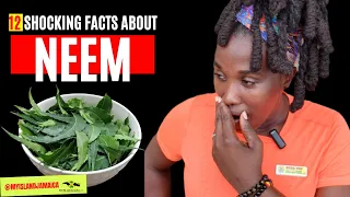 😳 You'll NEVER see THIS plant the same way again! [🇯🇲 #neem #herbal ]