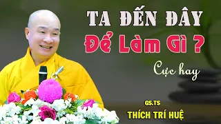 Con Người Đến Thế Gian Để Làm Gì - Ai Biết Thoát Khổ Đau. Thầy Thích Trí Huệ