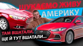 ЖИВА АМЕРИКА ПІДБІР Ford fusion 2.5 Hyundai Elantra  автомат обзор Форд Фьюжн Хендай Хюндай Елантра