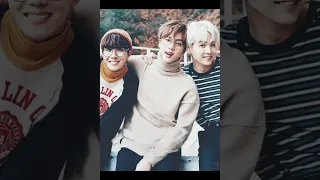 This Trio💜(BTS Hyungline) #bts #btsedits #btsshorts #kpop #trending #peggyot7 #jhope #jin #suga #v