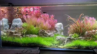 Uns 90L Planted Aquarium Uns Delta 120