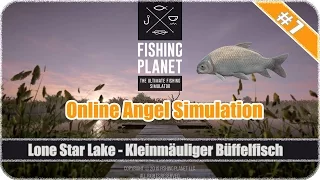 Fishing-Planet #07 Kleinmäuliger Büffelfisch (Karpfen) am Lone Star Lake fangen