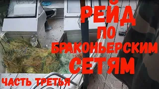 Рейд по браконьерским сетям.  Часть третья.