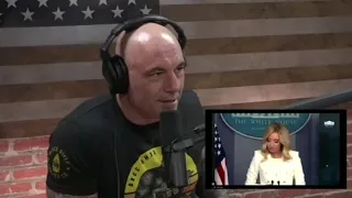 Joe Rogan Reacts to Trump_s Press Secretary with courtesy: joe rogan