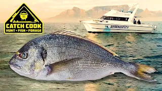 Big Bream Fishing on Light Tackle | Catch Cook | Cape Town