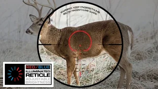 LUMIX Speedring Crossbow Scope Review - 20-100 Yards! - Works With Any Bow