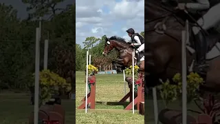 4star Oxer in balance at speed (Slowmow)