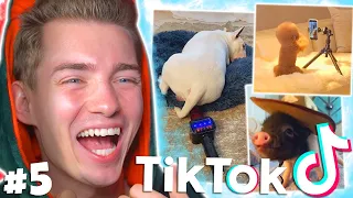 Die LUSTIGSTEN TIERE auf TIKTOK! #5 | Mexify Reagiert