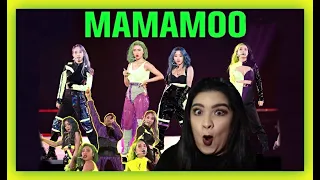 MAMAMOO + JYP MAMA 2019 PERFORMANCE | Reaction