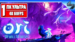 Прохождение Ori and the Will of the Wisps ➤ Часть 1 ➤ Лучший Платформер на Русском ➤ Геймплей на ПК