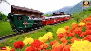 🏠🌷🇨🇭 Brienz, the Most Beautiful Village in Switzerland 🇨🇭 🌺 Swiss Valley 🌸 | #swiss #swissview