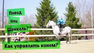 Как управлять лошадью в джигитовке? Средства управления.