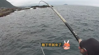 水湳洞圍牆區 釣況分享 Wild fishing in Taiwan. [嘟嘟釣魚狂#256] 2024/04/26
