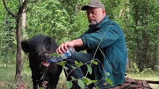 Я не мог подумать | Преданность человеку за спасение | Строю лесной дом.