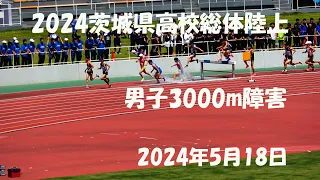 2024茨城県高校総体男子3000mSC