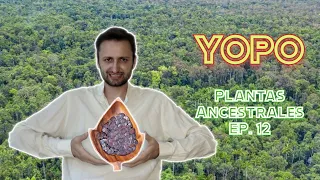 Yopo - PLANTAS ANCESTRALES EP. 12