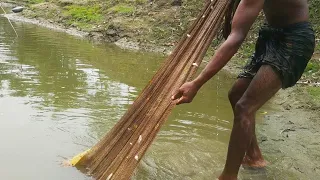 Net Fishing ll Fish Catching Using by Cast Net in The Village Pond