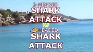 (720pHD): 2 Headed Shark Attack vs 3 Headed Shark Attack: Official Music Video