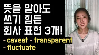 뜻을 알아도 쉽게 쓰기 힘든 회사 표현 3개 (caveat, transparent, fluctuate 쉽게 쓰는 법☝💚)