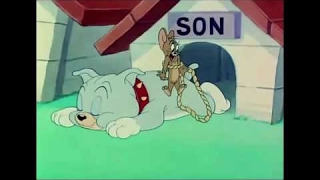 Tom and Jerry 44 Episode Love That Pup 1949 Capitulo Invertido