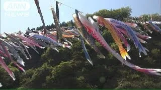 青空に悠々と800匹のこいのぼり　群馬・神流町（13/05/05）