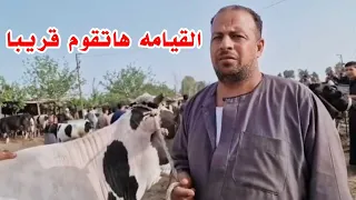 الضمير انعدم والظلم بقا لركب واللي بيعملوه تجار اللحم  والبقر في الناس لا يرضي مسلم ولاكافر🥺🥺🥺