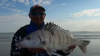 Bait Presentations for White Steenbras/Pig Nose Grunter