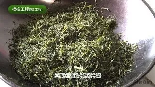 The process of making Sencha✿JAPANESE HOME COOKING✪How to Japan TV