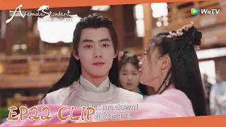 EP22 Clip | Wenyuan took Jiayin away after she made a big fuss in the Archive room!|国子监来了个女弟子|ENGSUB