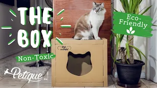 A Cat's Dream Come True! The Box Eco-Friendly Pet House by Petique