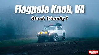 Flagpole Knob Virginia - Stock Off-Road