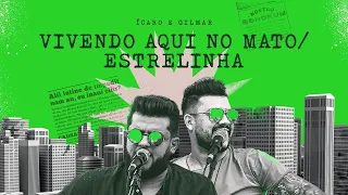 Ícaro e Gilmar - Vivendo aqui no mato/ Estrelinha #SextouBB