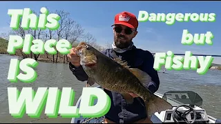 Spring Time at Conowingo Reservoir: Smallmouth Bass on the Move