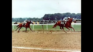 SECRETARIAT - 1973 Marlboro Cup. Triple Crown, Secretariat the best Horse.