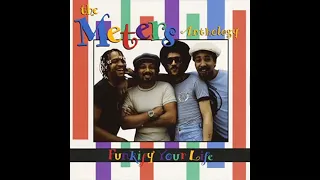 The Meters Anthology Funky Your Life 1