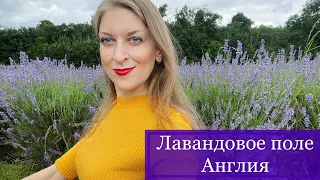 Лавандовое поле Лондон | Жизнь в Англии | Лондон влог июль 2021 | Великобритания после коронавируса