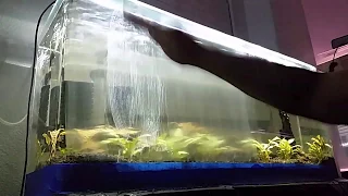 Novus scratch remover polishing acrylic fish tank