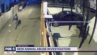 Dog abuse caught on camera in Northwest DC | FOX 5 DC