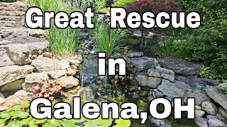 Great Rescue in Galena, OH