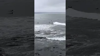 STEAMER LANE, SANTA CRUZ COLDWATER SURFING CHANNEL TODAY MAY 15TH