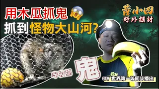 外來種系列｜山中鼠王！受農友之託，移除山河(鬼鼠) 意外野兔也來參一腳 Ft. @gtvworldsno1