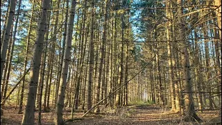 Мне счастья в жизни большего не надо. Христианская песня. Это Бог меня нашёл!