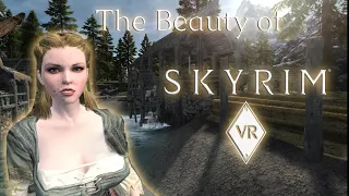 The Beauty of Skyrim in VR