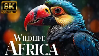 Wildlife of Africa 8K - Scenic Relaxation Film With African Music