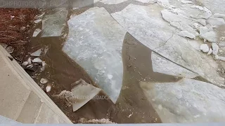 Ice Jam Breaking up